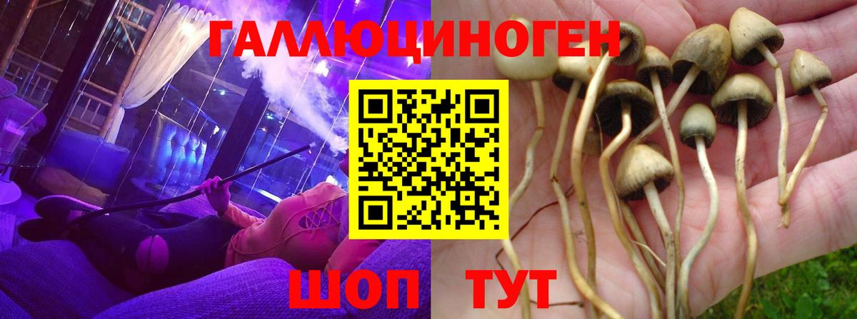 Галлюциногенные грибы MAGIC MUSHROOMS Сосновоборск